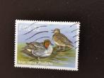 Irlande 1996 - oiseaux indigènes - sarcelles, Irlande, Affranchi, Enlèvement ou Envoi