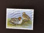 Ierland 1996 - inheemse vogels - wintertaling, Ophalen of Verzenden, Ierland, Gestempeld