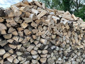 Brandhout beschikbaar voor biedingen