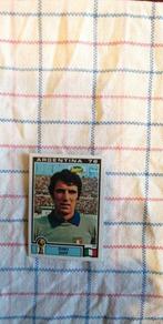 Autocollant Panini Coupe du Monde 78 Argentine - Dino Zoff, Collections, Enlèvement ou Envoi