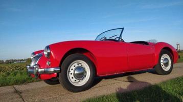 Diverse klassiekers/oldtimers te koop beschikbaar voor biedingen