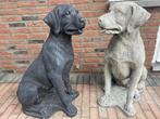 Betonnen Labrador Retriever 86cm hoog, Ophalen, Nieuw, Beton, Dierenbeeld