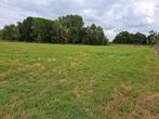 Weide te huur in Duffel, schuilstal ,water en electriciteit
