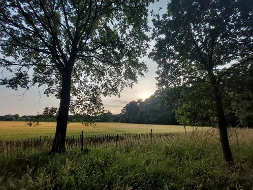 Zeer mooi stuk bosgrond in Stekene, Immo, Terrains & Terrains à bâtir, 1500 m² ou plus, Ventes sans courtier