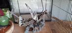 Aquarium te koop, Dieren en Toebehoren, Ophalen of Verzenden, Gebruikt