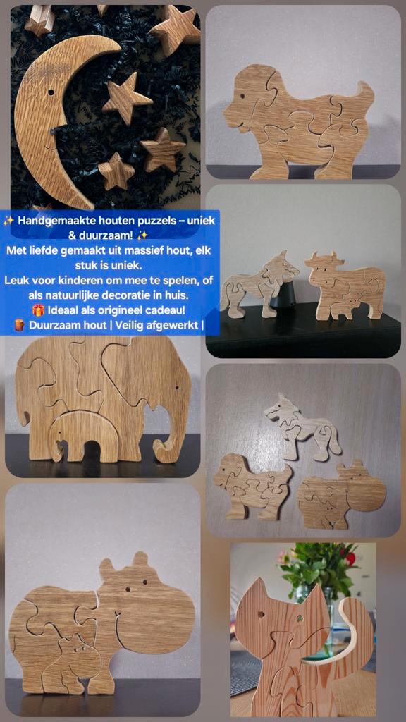 Houten Puzzels, Antiek en Kunst, Kunst | Beelden en Houtsnijwerken, Ophalen of Verzenden