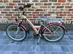 Meisjesfiets 20 inch, Ophalen, Gebruikt, 20 inch