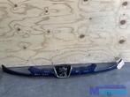 PEUGEOT 206 blauw EGE grille 1998-2006, Autos : Pièces & Accessoires, Carrosserie & Tôlerie, Taurusavenue 1
2132 LS  Hoofddorp, NL