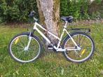 Vélo Rockrider 3.1 decathlon, Gebruikt, 26 inch, Ophalen, Overige merken