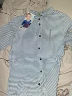 Chemise orchestra nouvelle 116, Enlèvement