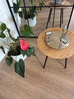 Plafondlamp Philips inox, Ophalen of Verzenden, Zo goed als nieuw, Modern