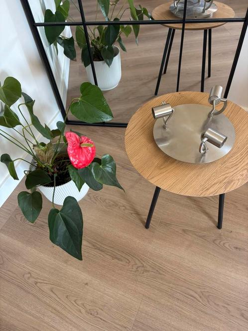 Plafondlamp Philips inox, Huis en Inrichting, Lampen | Plafondlampen, Zo goed als nieuw, Ophalen of Verzenden