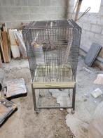 Volière perruche, Animaux & Accessoires, Autres accessoires pour animaux, Enlèvement, Utilisé