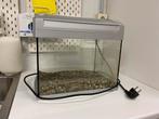 Aquarium met toebehoren (filter, verwarming, zuurstof, etc), Ophalen, Gebruikt, Leeg aquarium