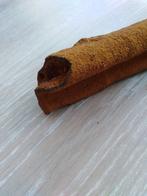 fossiel: versteend hout, Verzamelen, Ophalen, Fossiel