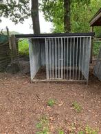 2 hondenrennen, Dieren en Toebehoren, Ophalen, Gebruikt