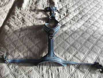 Hondentuig  Dog Copenhagen ( blauw maat S ) 44 - 56 cm. beschikbaar voor biedingen