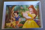 Puzzel Disney Princess, Enlèvement, 10 à 50 pièces, Utilisé, 4 à 6 ans
