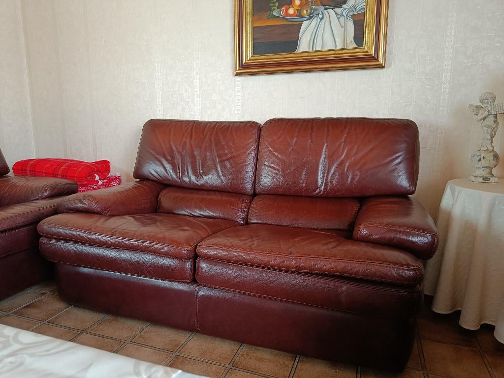 Lederen salon (3-2-1-zit), Ophalen