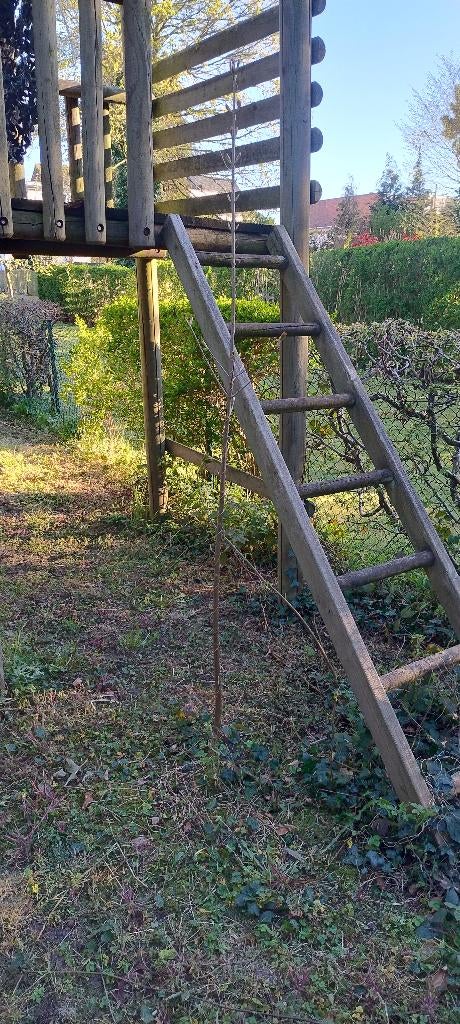 Walnotenboom in volle grond, Tuin en Terras, Ophalen, Halfschaduw, Overige soorten, Lente