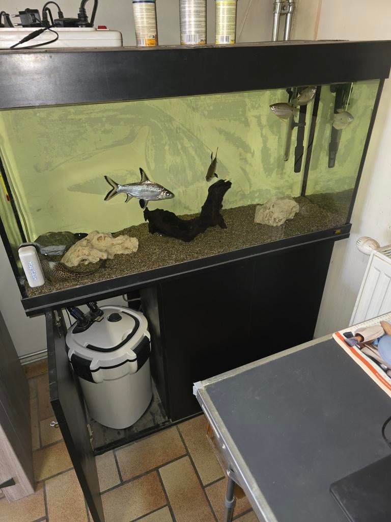 Acarium met vissen en toebehoren., Dieren en Toebehoren, Ophalen