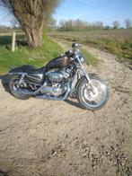 Harley Davidson Sportster 883, Motoren, 2 cilinders, 883 cc, Particulier, Meer dan 35 kW