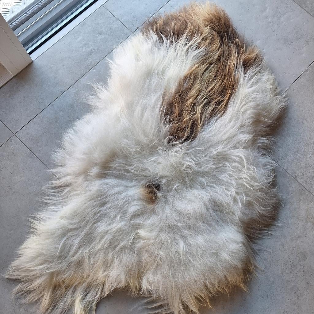 Peau de mouton, Enlèvement ou Envoi