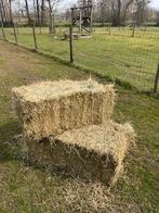 Klein pakken hooi, Dieren en Toebehoren, Dierenvoeding, Ophalen, Vee