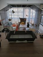 Cage oiseaux(canaris/perruches)