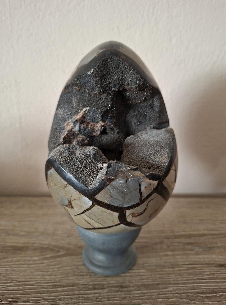 Drakenei Septaria 34cm diameter, Verzamelen, Mineralen en Fossielen, Fossiel, Ophalen of Verzenden