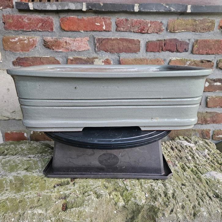 Bonsai Handgemaakte Pot, Tuin en Terras, Planten | Bomen, Ophalen