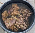 Levend steen zoutwater aquarium., Dieren en Toebehoren, Vissen | Aquaria en Toebehoren, Ophalen, Gebruikt, Gevuld zeewateraquarium