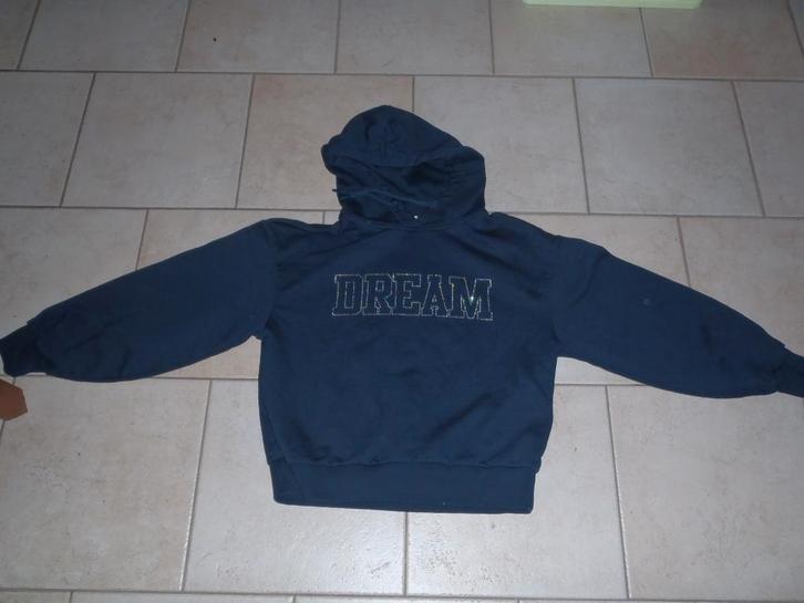 pull bleu taille S, Vêtements | Femmes, Pulls & Gilets, Comme neuf, Taille 36 (S), Bleu, Enlèvement ou Envoi