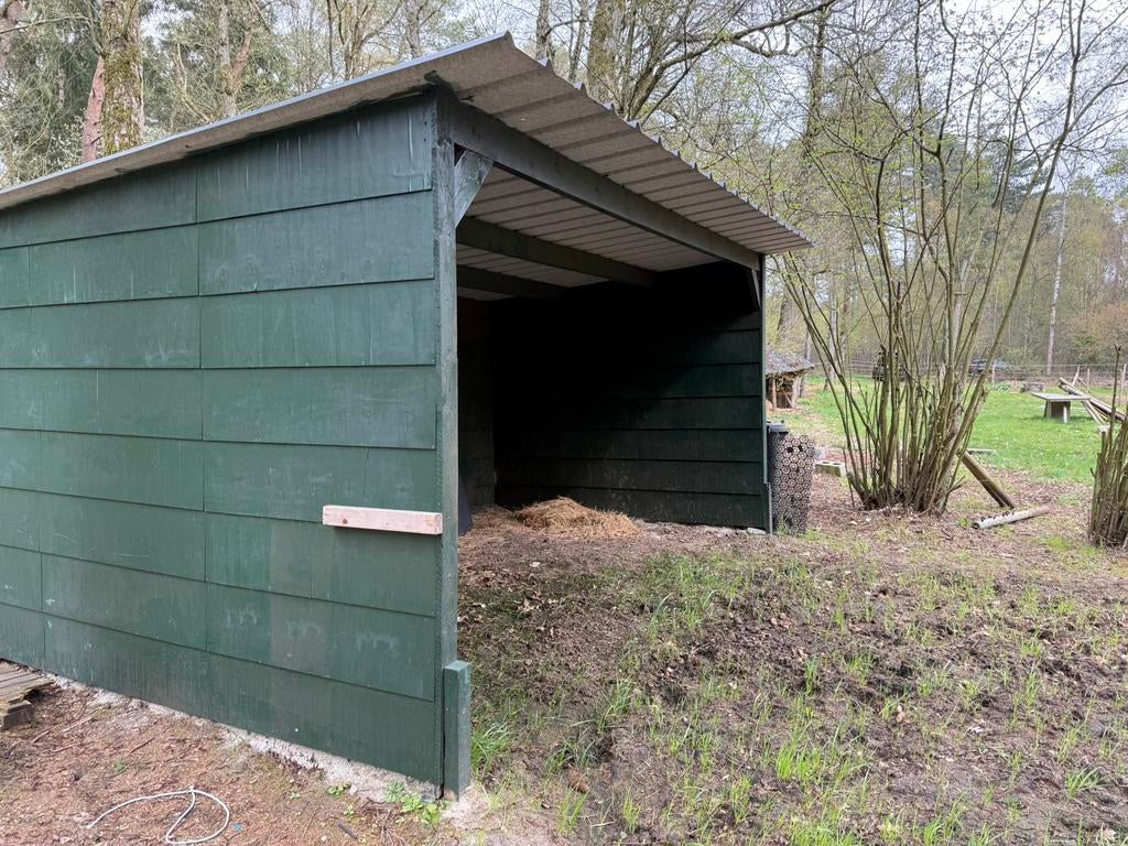 Schuilstal paard, pas half jaar oud, Dieren en Toebehoren, 2 of 3 paarden of pony's