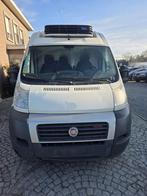 FIAT DUCATO 3.0d, Autos, Camionnettes & Utilitaires, Euro 5, Achat, Entreprise, Diesel