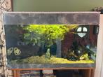 Aquarium de 200 litres et accessoires, Plantes incluses, Aquarium d'eau douce rempli, Enlèvement, Utilisé