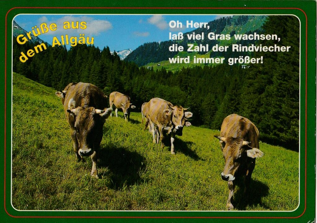 KOEIEN  ALLGAU  + Mooie postzegel !, Verzamelen, Postkaarten | Dieren, Verzenden, 1980 tot heden, Gelopen, Overige soorten