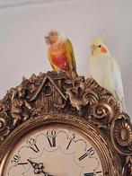 Valkparkieten, Dieren en Toebehoren