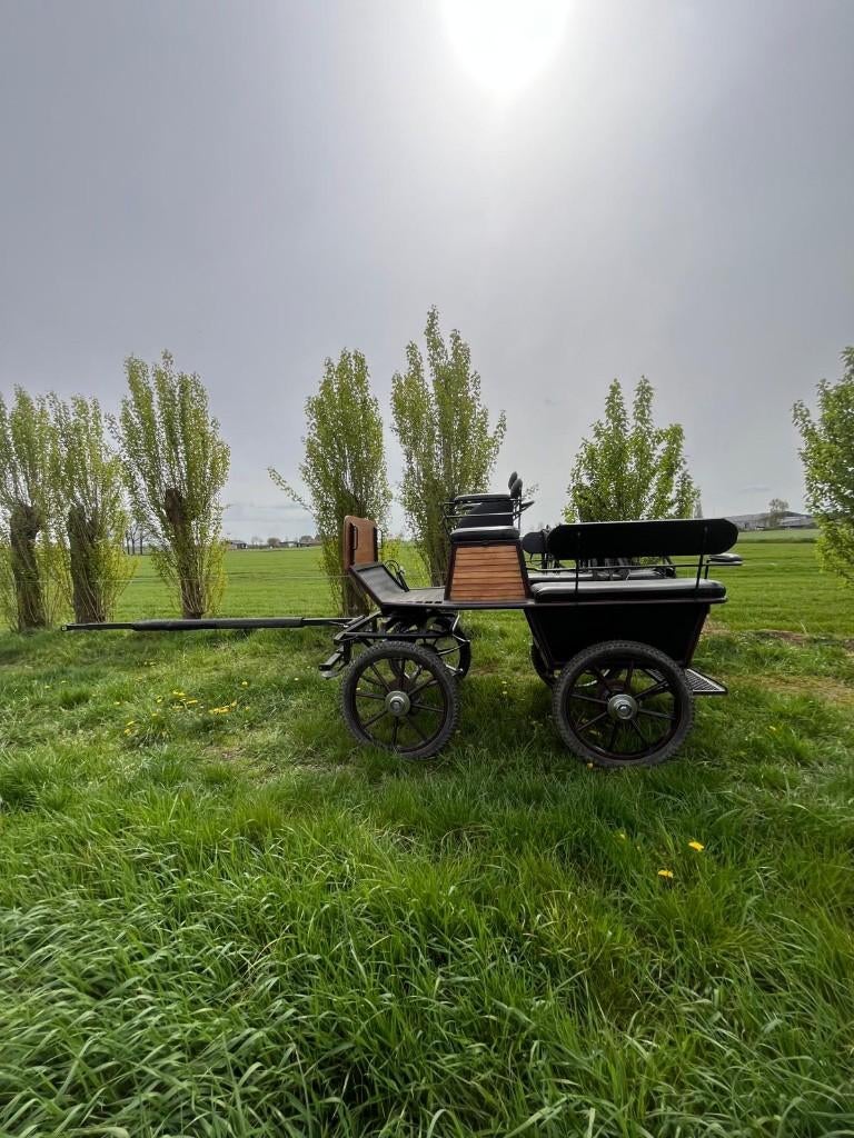 Koets paard, Utilisé, Autres types, Cheval