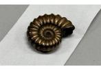 Fossile de pyrite fer ammonite vieux 196 millions d'années, Enlèvement ou Envoi, Fossile
