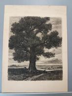 originele lithografie van P.Abatucci, Ophalen of Verzenden