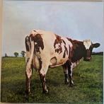 pink floyd, Cd's en Dvd's, Ophalen of Verzenden