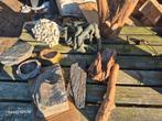 Fournitures pour terrariums, Enlèvement, Utilisé, Branche, Plante, Roche ou Pierre
