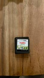 Imagine Teacher School Trip Nintendo DS, Games en Spelcomputers, Games | Nintendo DS, Online, Gebruikt, 1 speler, Ophalen of Verzenden