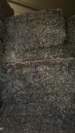 Mooi fris hooi, Ophalen