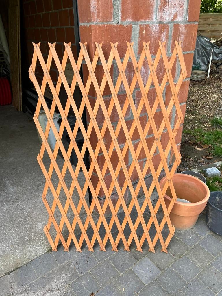 Treillis extensible pour plante, Enlèvement ou Envoi, Neuf, Bois