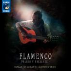 Ignacio Lusardi Monteverde - Flamenco, Pasado y Presente, Ophalen of Verzenden, Europees