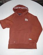 Sweaters WE 146  met kap (verschillende tekst)    € 13, Ophalen of Verzenden, Zo goed als nieuw, Jongen, Overige typen