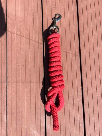 Rood halstertouw paard beschikbaar voor biedingen