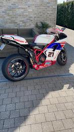 Ducati 1098 Troy Bayliss (replica), Motos, Motos | Ducati, Particulier